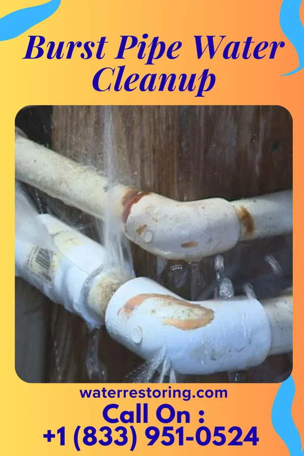 Burst Pipe Water Cleanup in Prunedale, CA